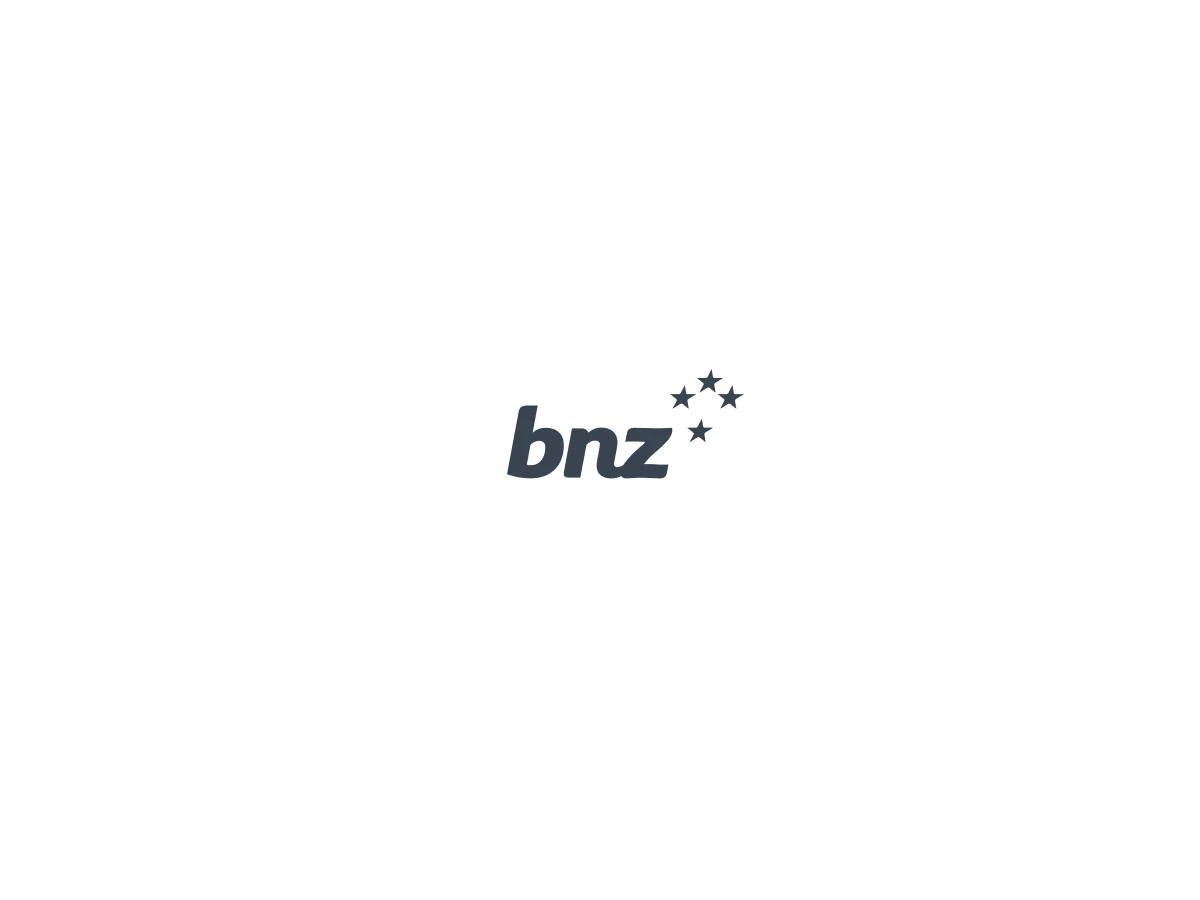 Bnz case study